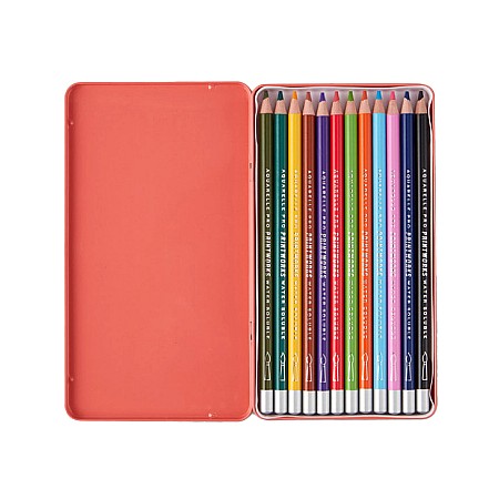 Кольорові олівці PRINTWORKS 12 Colour pencils - Aquarelle