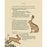 Книга ARTHUSS Колесо року: Ілюстрований путівник ритмами природи Книга ARTHUSS Колесо року: Ілюстрований путівник ритмами природи