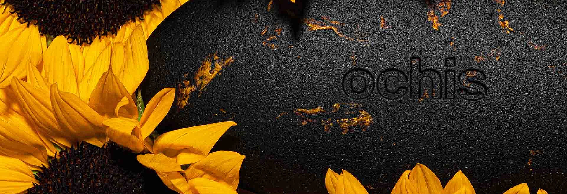 OCHIS