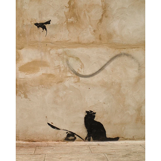Книга ARTHUSS Banksy: Ви становите загрозу прийнятного рівня автори Книга ARTHUSS Banksy: Ви становите загрозу прийнятного рівня автори