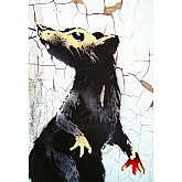 Книга ARTHUSS Banksy: Ви становите загрозу прийнятного рівня автори Книга ARTHUSS Banksy: Ви становите загрозу прийнятного рівня автори