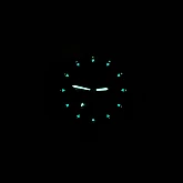 Watch Bertucci 11501 A-2S VINTAGE - BLACK DIAL