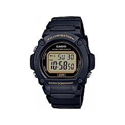 Годинник CASIO W-219H-1A2VEF
