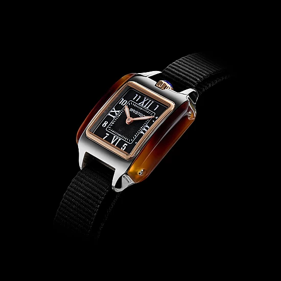 Годинник BRISTON STREAMLINER KENNEDY HM 25 RG PVD TORTOISE ACETATE BLACK Годинник BRISTON STREAMLINER KENNEDY HM 25 RG PVD TORTOISE ACETATE BLACK