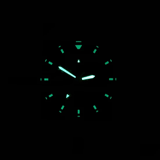 Годинник BERTUCCI A-2TR Field Pro GMT 12118 Годинник BERTUCCI A-2TR Field Pro GMT 12118