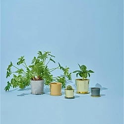 Підставка під Горщик Hay Brass 1.5cm/18cm