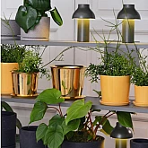 Горщик Hay Brass 16cm/19.5cm Горщик Hay Brass 16cm/19.5cm