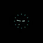 Watch Bertucci 11509 A-2S Vintage Watch Bertucci 11509 A-2S Vintage