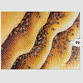 Пазли PRINTWORKS Puzzle - Bee (500) Пазли PRINTWORKS Puzzle - Bee (500)