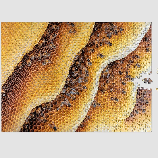 Пазли PRINTWORKS Puzzle - Bee (500) Пазли PRINTWORKS Puzzle - Bee (500)